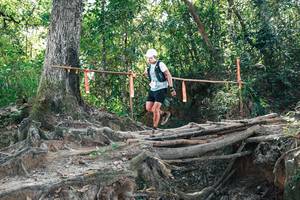 BIB: 
                            <button type="button" onclick="openModal(27744399)" class="btn btn-primary btn-sm float-right btn-popup" data-toggle="modal" data-target=".modal-high-quality">
                        <i class="fas fa-shopping-cart"></i> Add to Cart
                    </button>
                                            <button type="button" onclick="isThisMe(27744399, true)" class="btn btn-success btn-sm float-right btn-popup btn-isme hidden" data-toggle="tooltip" data-placement="bottom" title="นี่คือรูปของคุณใช่ไหม คลิกที่นี่เพื่อเอาเข้าอัลบั้ม">
                        <i class="fas fa-plus"></i> Add to album
                    </button>
                    <button type="button" onclick="isThisMe(27744399, false)" class="btn btn-warning btn-sm float-right btn-popup btn-isnotme hidden">
                        <i class="fas fa-ban"></i> Remove from album
                    </button>